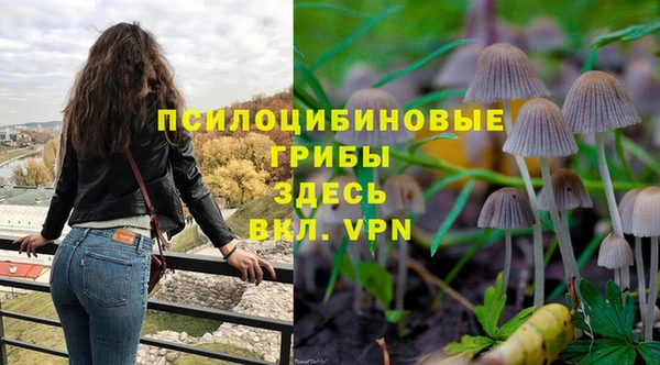 герыч Магас